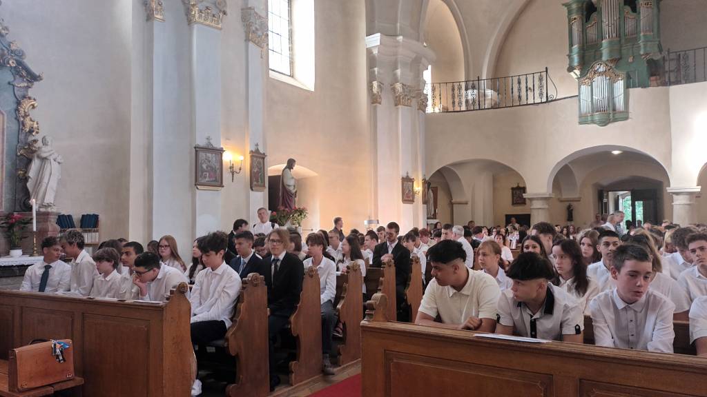 ZSPSZ Galéria